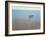 White Dory-John Rufo-Framed Art Print