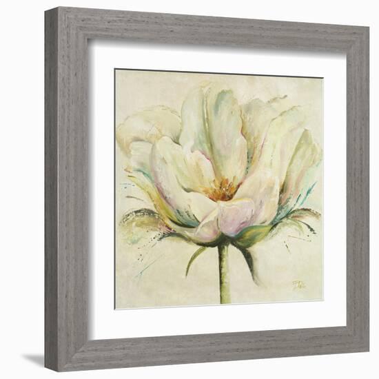 White Double Tulips II-Patricia Pinto-Framed Art Print