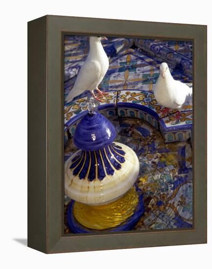 White Doves in Plaza Tiled Fountain, Sevilla, Spain-John & Lisa Merrill-Framed Premier Image Canvas