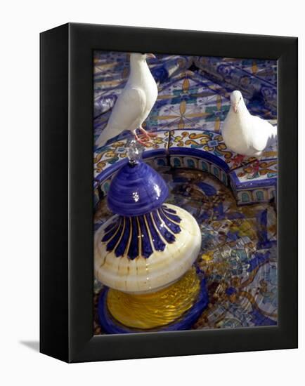 White Doves in Plaza Tiled Fountain, Sevilla, Spain-John & Lisa Merrill-Framed Premier Image Canvas