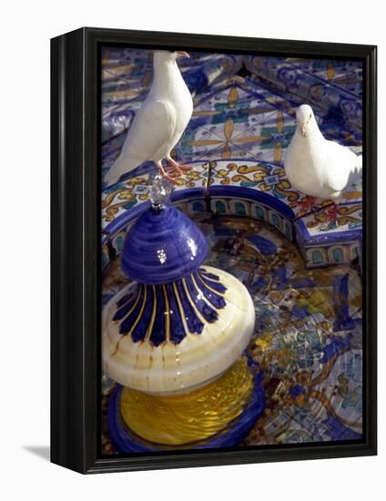 White Doves in Plaza Tiled Fountain, Sevilla, Spain-John & Lisa Merrill-Framed Premier Image Canvas