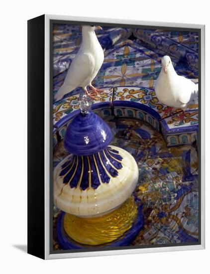 White Doves in Plaza Tiled Fountain, Sevilla, Spain-John & Lisa Merrill-Framed Premier Image Canvas