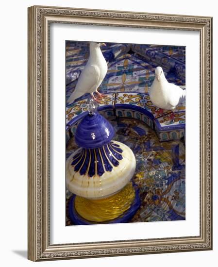 White Doves in Plaza Tiled Fountain, Sevilla, Spain-John & Lisa Merrill-Framed Photographic Print