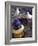 White Doves in Plaza Tiled Fountain, Sevilla, Spain-John & Lisa Merrill-Framed Photographic Print