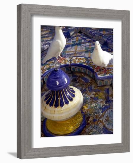 White Doves in Plaza Tiled Fountain, Sevilla, Spain-John & Lisa Merrill-Framed Photographic Print