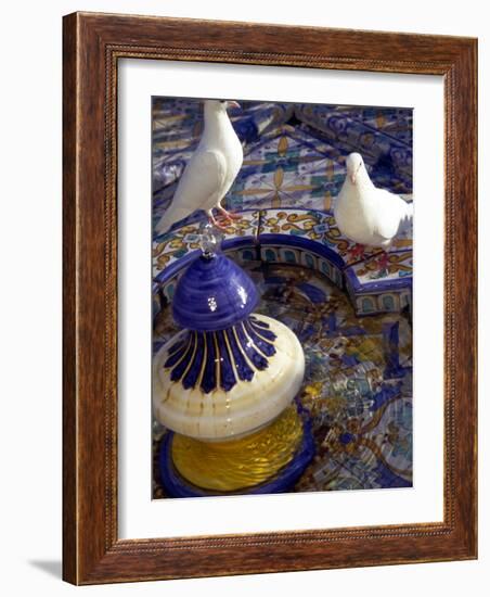 White Doves in Plaza Tiled Fountain, Sevilla, Spain-John & Lisa Merrill-Framed Photographic Print