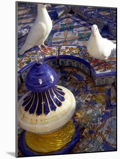 White Doves in Plaza Tiled Fountain, Sevilla, Spain-John & Lisa Merrill-Mounted Photographic Print