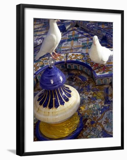 White Doves in Plaza Tiled Fountain, Sevilla, Spain-John & Lisa Merrill-Framed Photographic Print