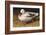 White Duck-Chris Vest-Framed Art Print