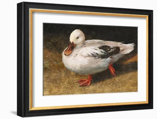 White Duck-Chris Vest-Framed Art Print