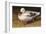 White Duck-Chris Vest-Framed Art Print