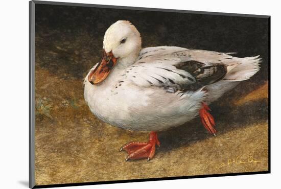 White Duck-Chris Vest-Mounted Art Print