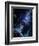 White Dwarf Planets-Julian Baum-Framed Premium Photographic Print