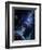 White Dwarf Planets-Julian Baum-Framed Photographic Print