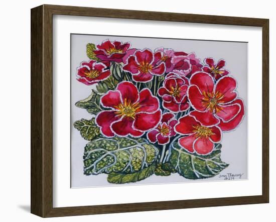 White Edged Primroses 2012-Joan Thewsey-Framed Giclee Print