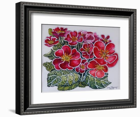 White Edged Primroses 2012-Joan Thewsey-Framed Giclee Print