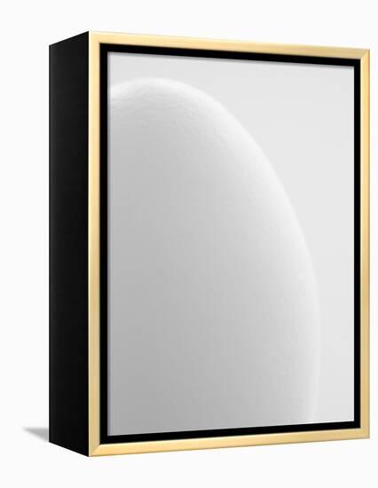 White egg-Ada Summer-Framed Premier Image Canvas