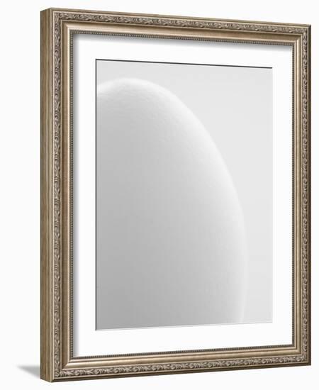 White egg-Ada Summer-Framed Photographic Print