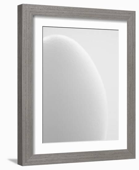 White egg-Ada Summer-Framed Photographic Print