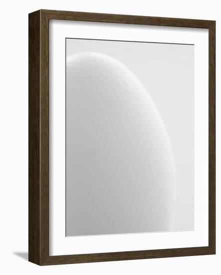 White egg-Ada Summer-Framed Photographic Print