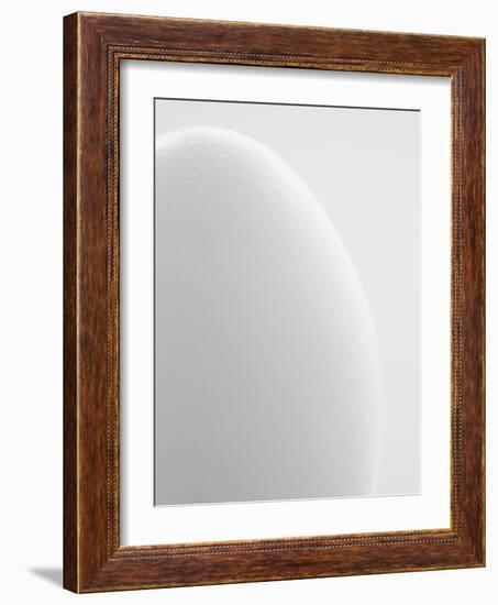 White egg-Ada Summer-Framed Photographic Print