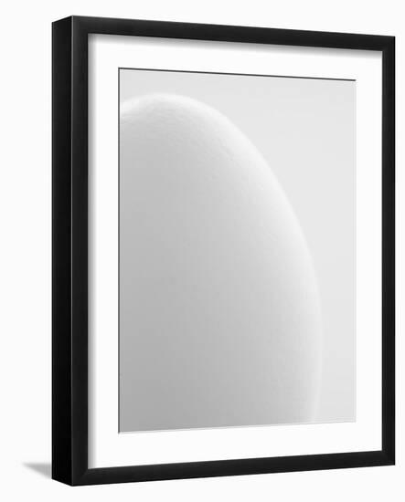 White egg-Ada Summer-Framed Photographic Print