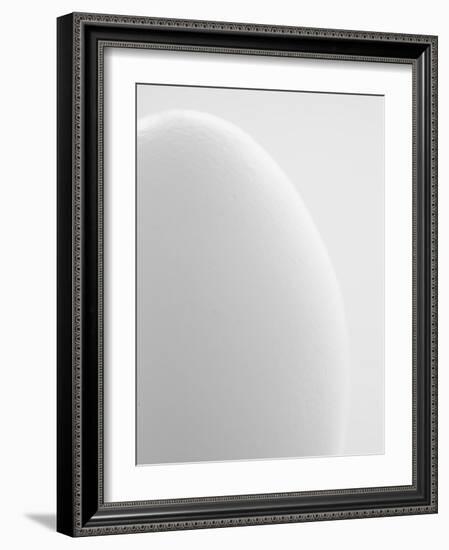 White egg-Ada Summer-Framed Photographic Print