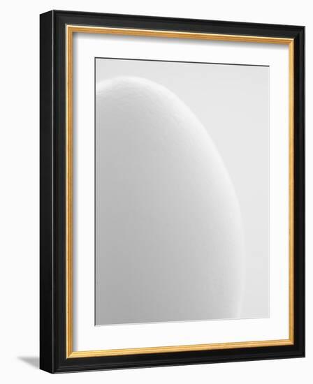 White egg-Ada Summer-Framed Photographic Print