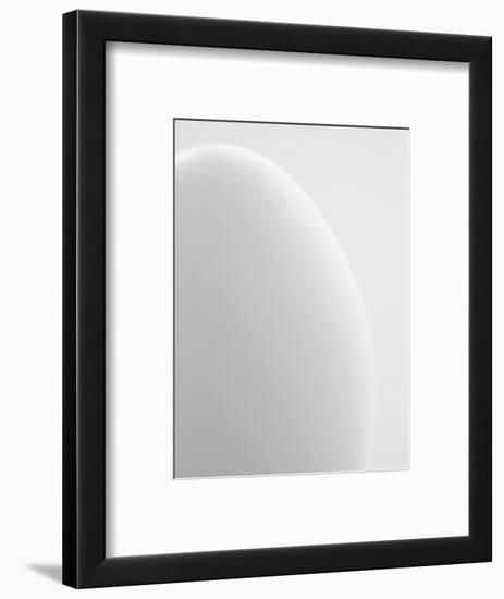 White egg-Ada Summer-Framed Photographic Print