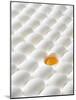 White Eggs, Lying on Their Sides, One Opened-Klaus Arras-Mounted Photographic Print