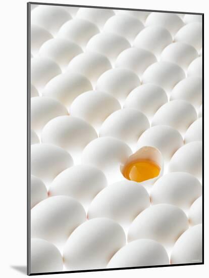 White Eggs, Lying on Their Sides, One Opened-Klaus Arras-Mounted Photographic Print