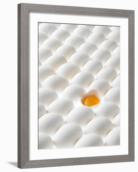 White Eggs, Lying on Their Sides, One Opened-Klaus Arras-Framed Photographic Print