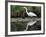 White Egret at Magnolia Plantation and Gardens, Charleston, South Carolina, USA-Julie Eggers-Framed Photographic Print