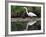 White Egret at Magnolia Plantation and Gardens, Charleston, South Carolina, USA-Julie Eggers-Framed Photographic Print