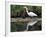 White Egret at Magnolia Plantation and Gardens, Charleston, South Carolina, USA-Julie Eggers-Framed Photographic Print