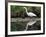 White Egret at Magnolia Plantation and Gardens, Charleston, South Carolina, USA-Julie Eggers-Framed Photographic Print