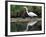 White Egret at Magnolia Plantation and Gardens, Charleston, South Carolina, USA-Julie Eggers-Framed Photographic Print