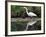 White Egret at Magnolia Plantation and Gardens, Charleston, South Carolina, USA-Julie Eggers-Framed Photographic Print