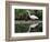 White Egret at Magnolia Plantation and Gardens, Charleston, South Carolina, USA-Julie Eggers-Framed Photographic Print