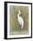 White Egret I-Tim OToole-Framed Art Print