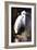 White Egret I-Vivienne Dupont-Framed Art Print