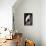 White Egret I-Vivienne Dupont-Framed Stretched Canvas displayed on a wall