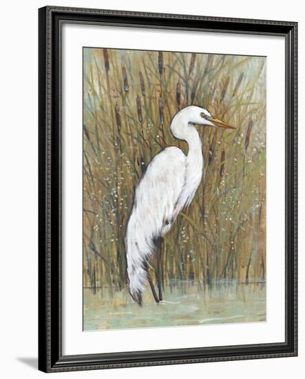 White Egret II-Tim OToole-Framed Art Print