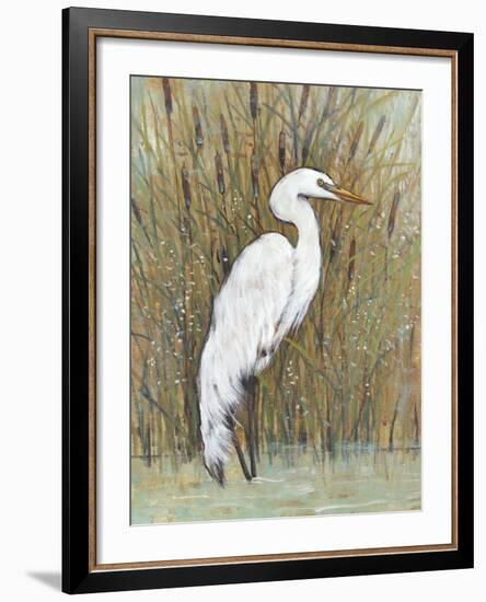 White Egret II-Tim OToole-Framed Art Print