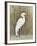 White Egret II-Tim OToole-Framed Art Print