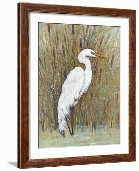 White Egret II-Tim OToole-Framed Art Print