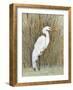 White Egret II-Tim OToole-Framed Art Print