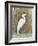 White Egret II-Tim OToole-Framed Art Print