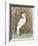 White Egret II-Tim OToole-Framed Art Print