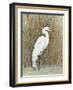 White Egret II-Tim OToole-Framed Art Print